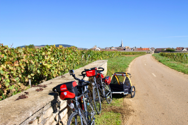 Pedalare in Borgogna e nei suoi prestigiosi vigneti