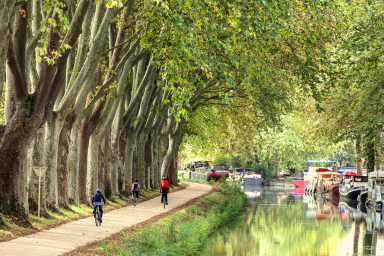 Canal du Midi - da Tolosa a Carcassonne
